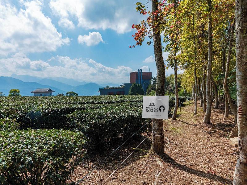 TSUBI SEEKING ALISHAN SUNRISE image