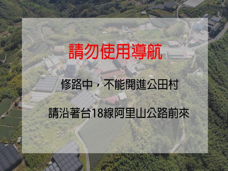 TSUBI SEEKING ALISHAN SUNRISE image