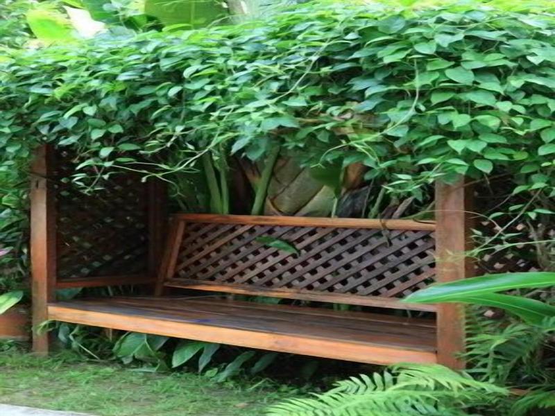 Pai Vimaan Resort image