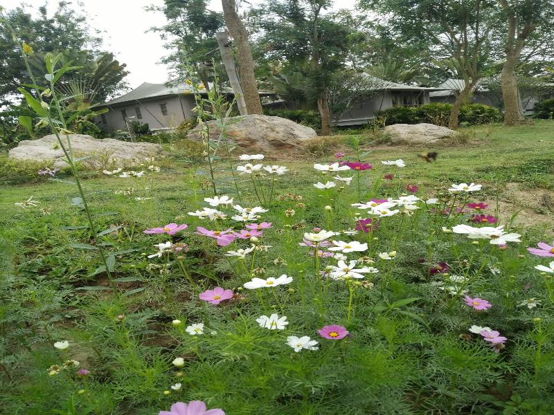 Pai Vimaan Resort image