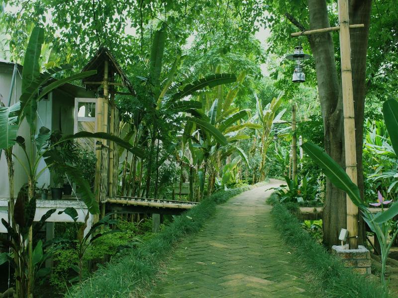 Pai Vimaan Resort image