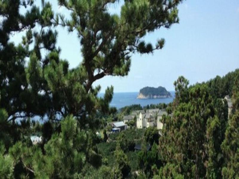 JEJU BOM — photo 48