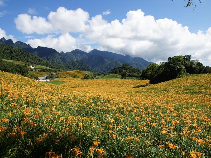 Hotel Les Champs (Hualien ) image