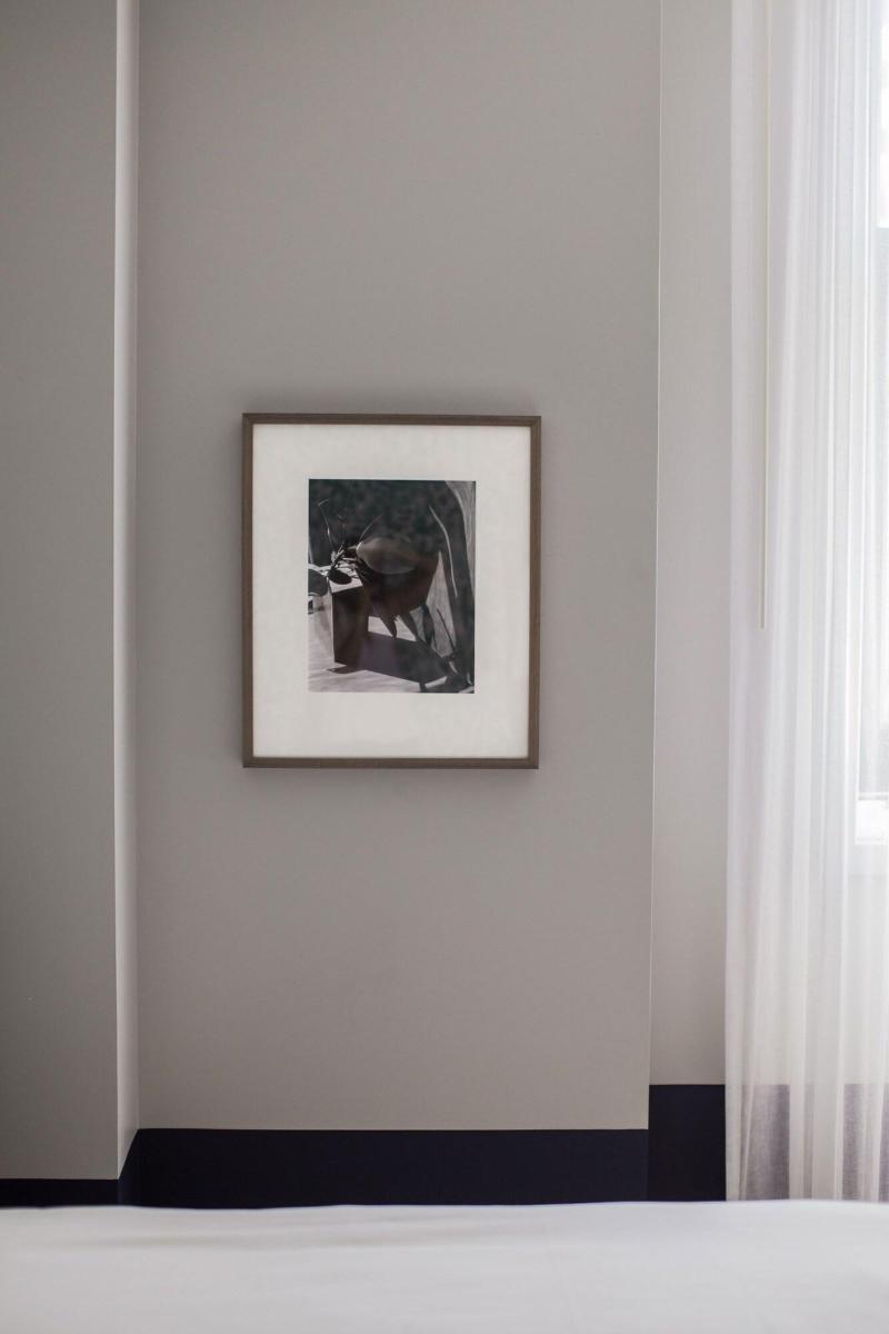Woodlark image