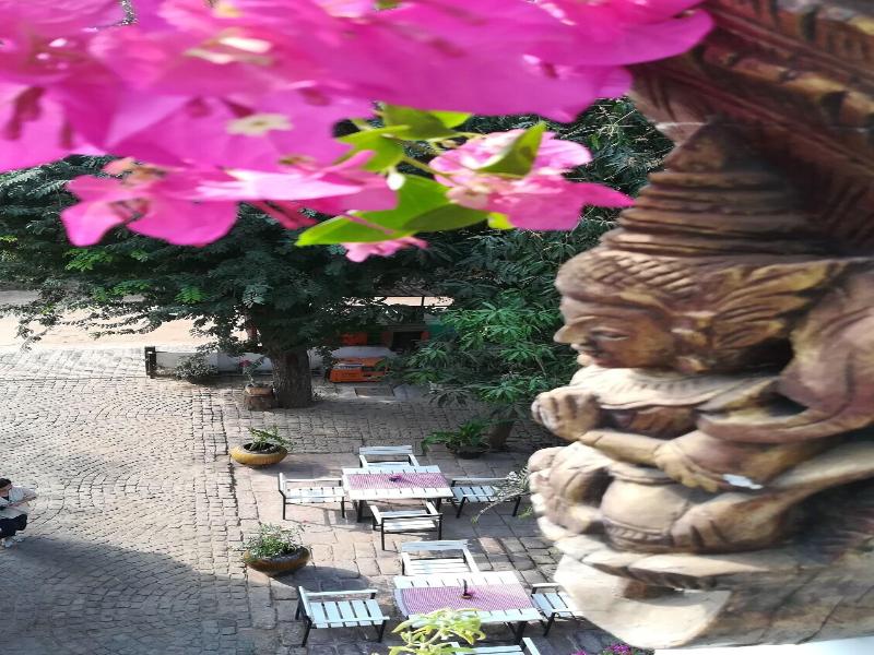 Bagan Nova Guest House