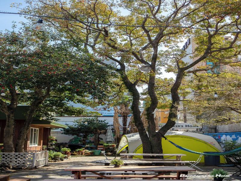 Backpacker's Home