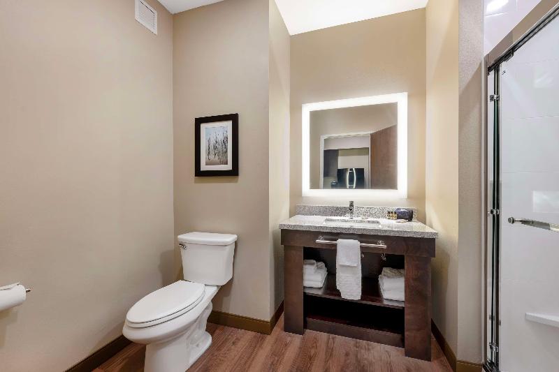 Best Western Plus Lakeview Hotel image