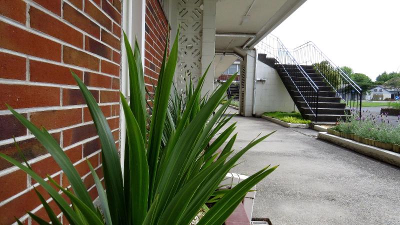 Kuirau Park Motor Lodge image