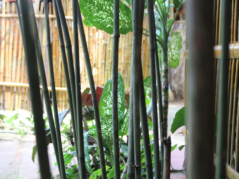 Under The Coconut Tree Hoi An Homestay image