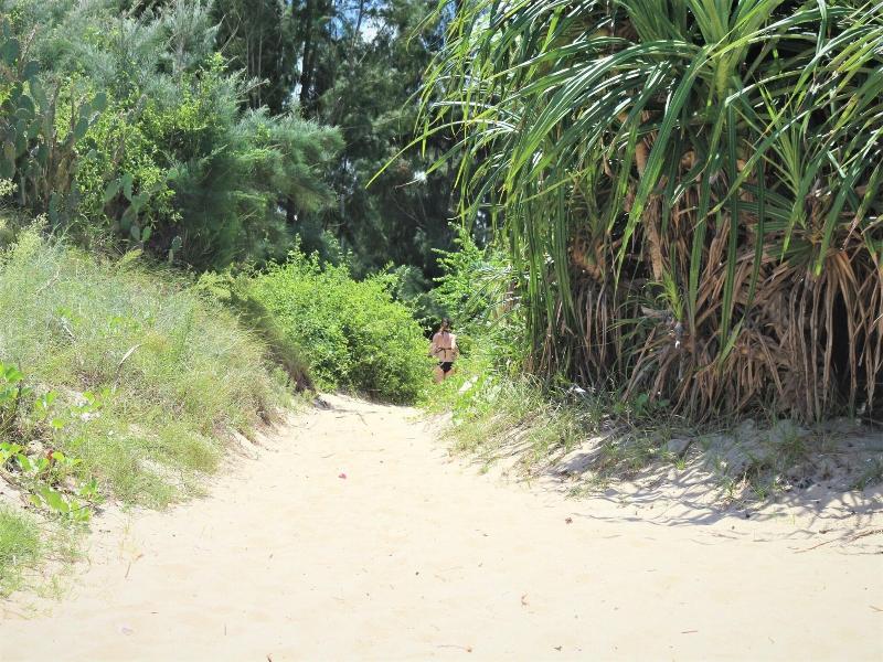 Under The Coconut Tree Hoi An Homestay image