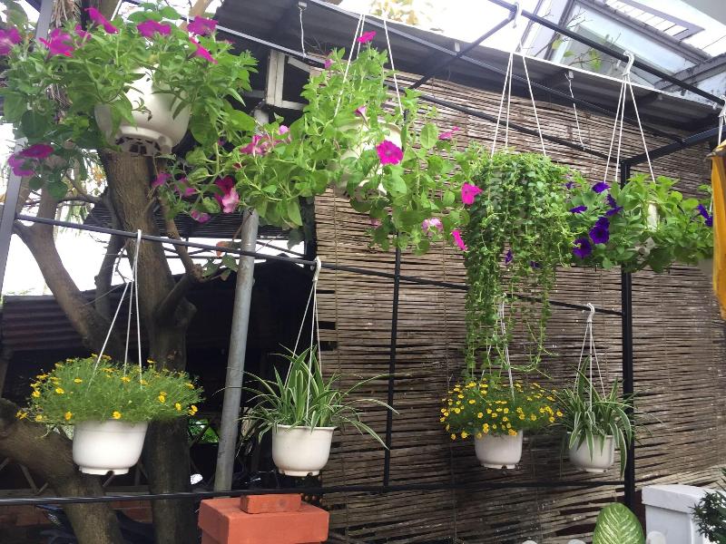 New Destination Hoi An Homestay