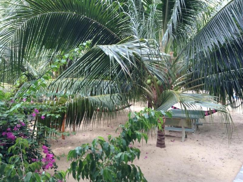 Cocosand Hotel image