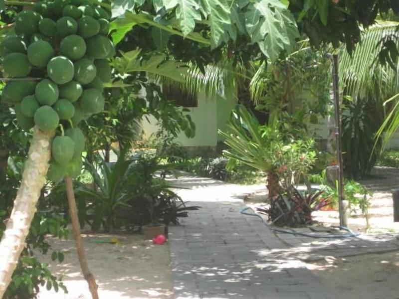 Cocosand Hotel image