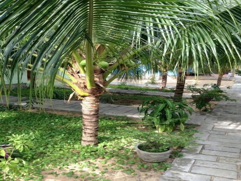 Cocosand Hotel image