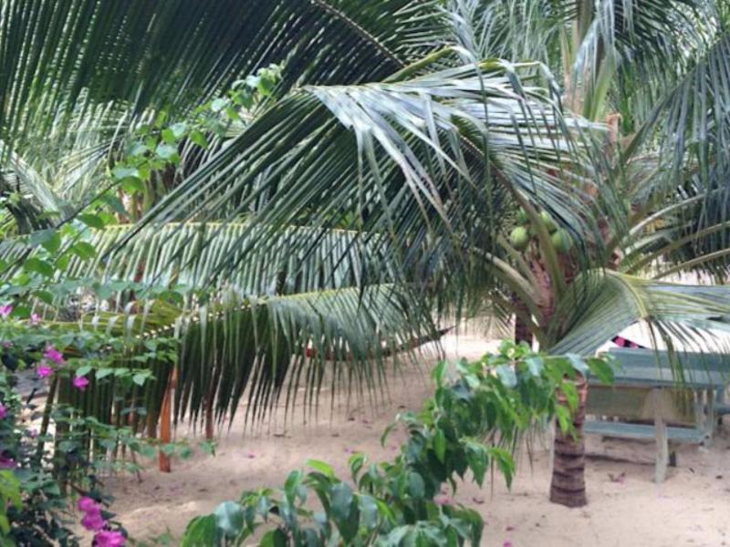 Cocosand Hotel image