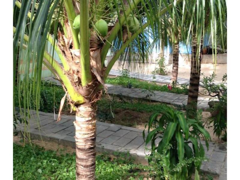 Cocosand Hotel image