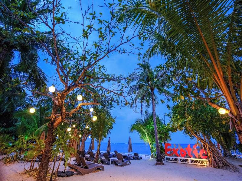 Malapascua Exotic Island Dive & Beach Resort
