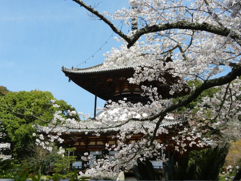 Wakayama Dai-ichi Fuji Hotel image