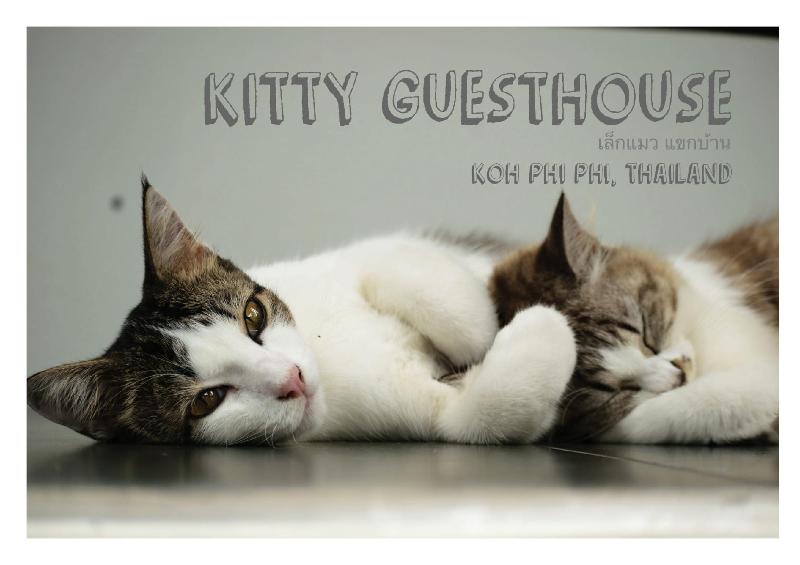 Kitty Guesthouse