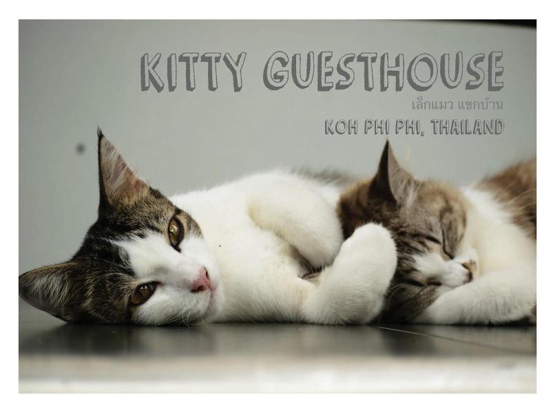 Kitty Guesthouse image