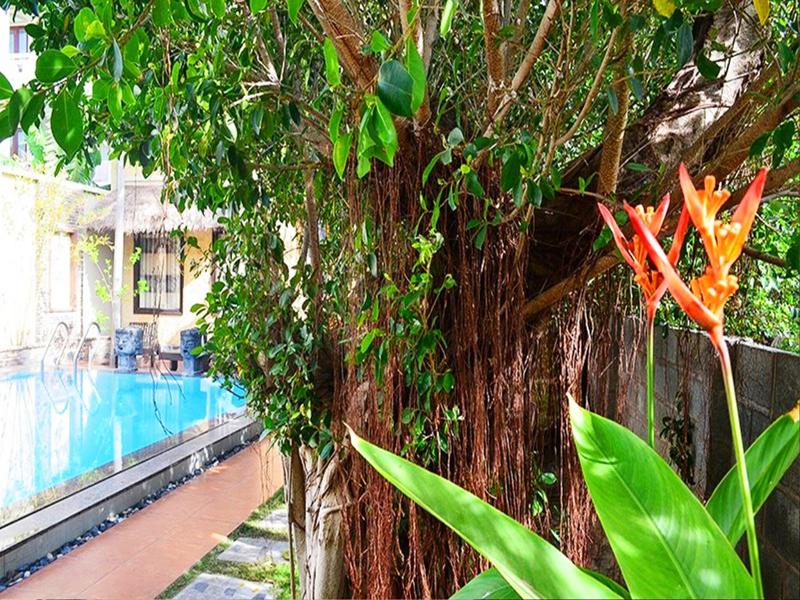 Rang Garden Bungalow image