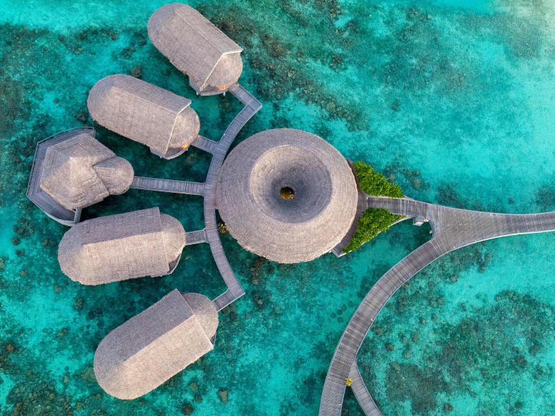 The Nautilus Maldives image