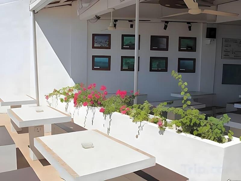 Sea Horse Guest House image