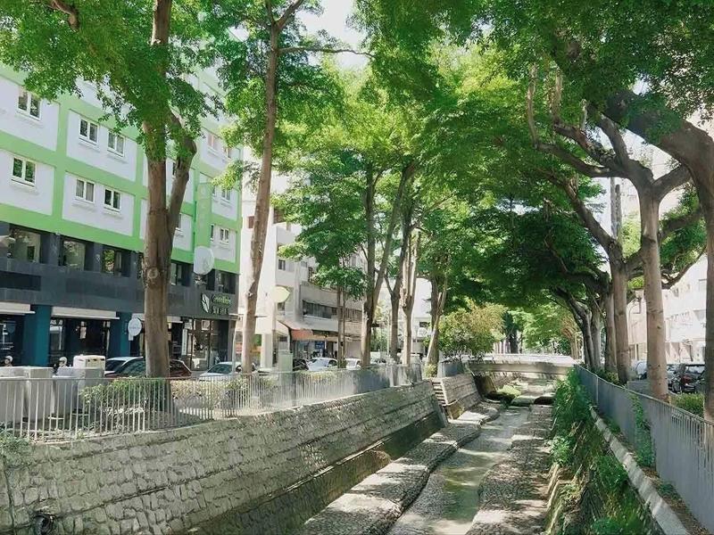 Green Hotel-Fengjia image