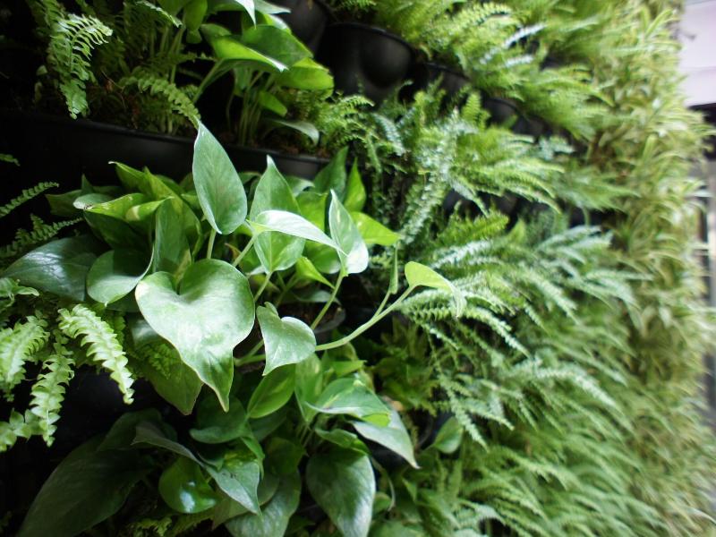 Green Hotel-Fengjia image