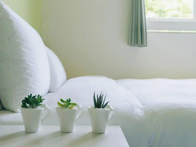 Green Hotel-Fengjia image