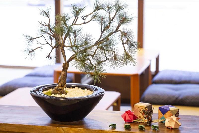 THE STAY SAPPORO NAGOMI