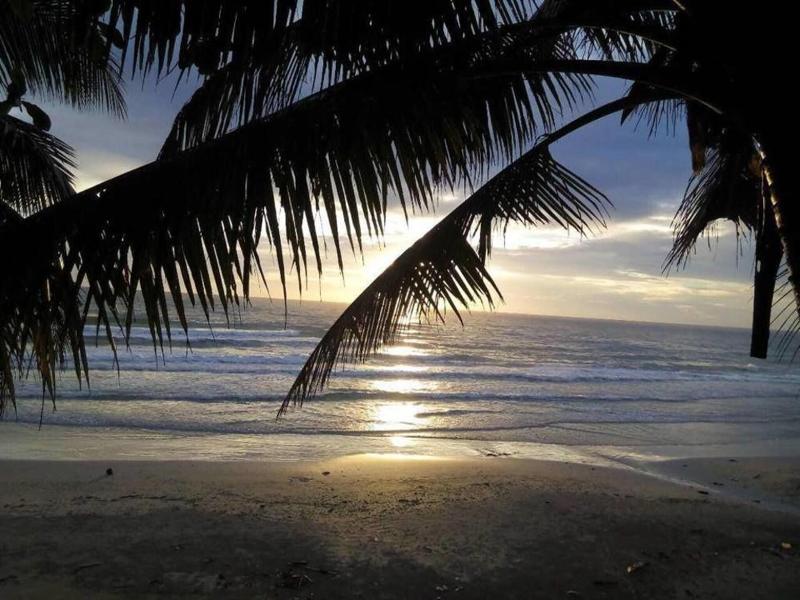 Apple Beachfront Resort image