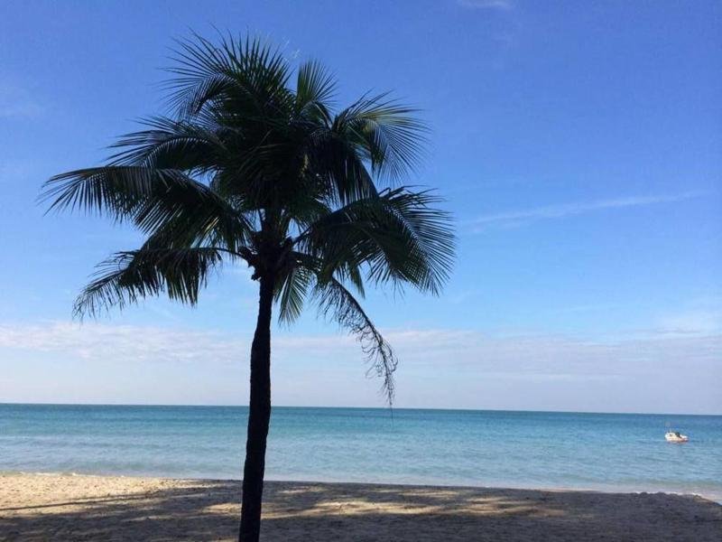 Apple Beachfront Resort image