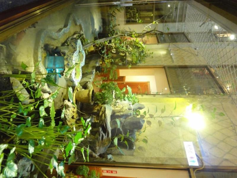 Hua Yue Hotel image