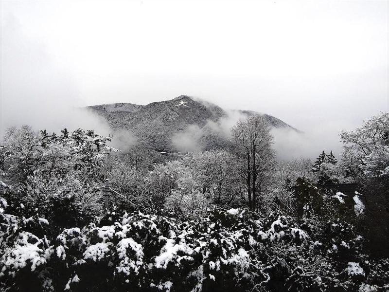 Hakone Lalaca image