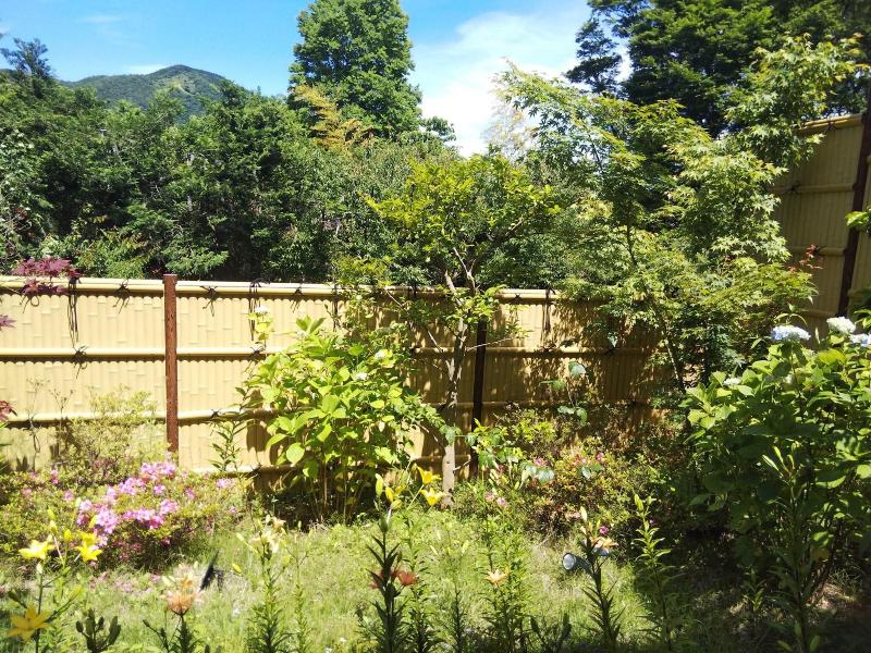 Hakone Lalaca image