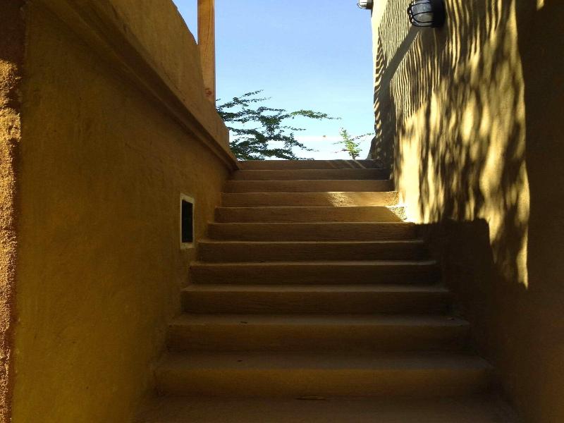 Pranberry Earth image
