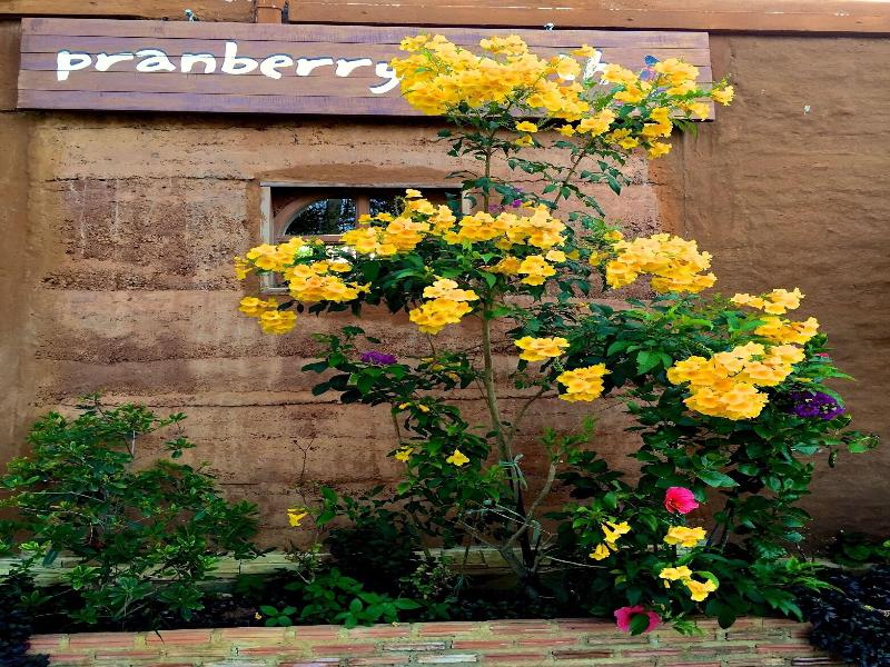 Pranberry Earth image