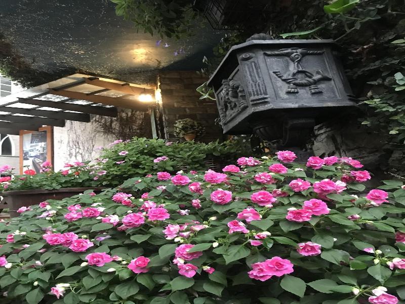 Puli Town Bed and Breakfast image