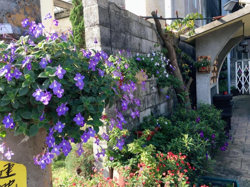 Puli Town Bed and Breakfast image