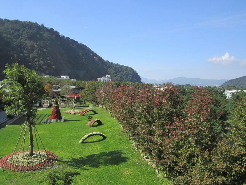 Tai-Yi Red Maple Resort image