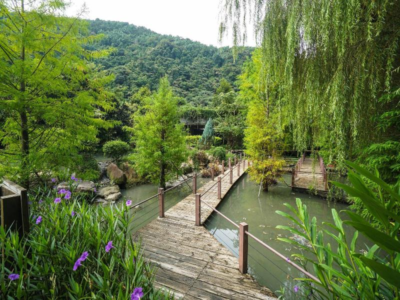 Tai-Yi Red Maple Resort image