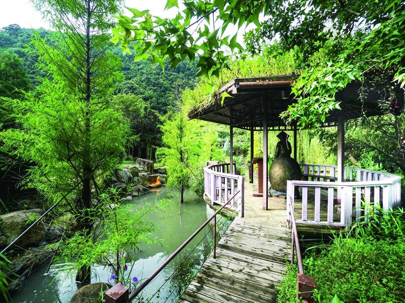 Tai-Yi Red Maple Resort image