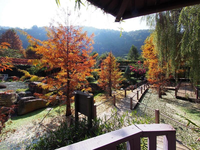 Tai-Yi Red Maple Resort image
