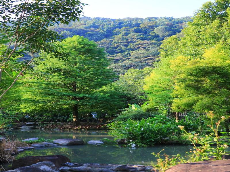 Tai-Yi Red Maple Resort image