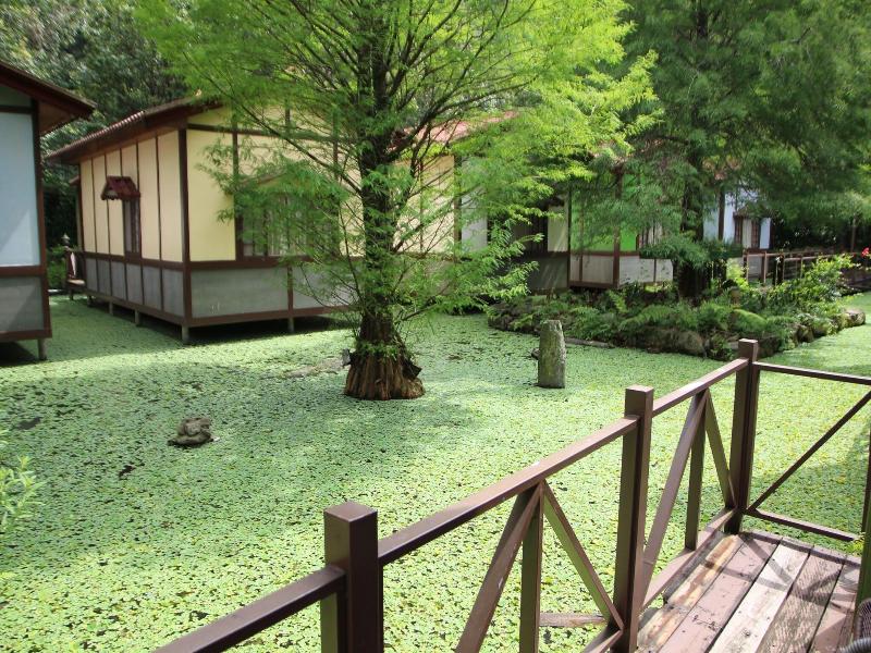Tai-Yi Red Maple Resort image