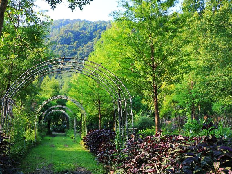 Tai-Yi Red Maple Resort image