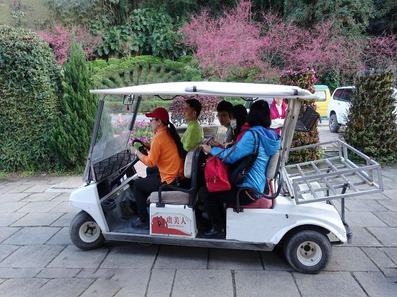 Tai-Yi Red Maple Resort image