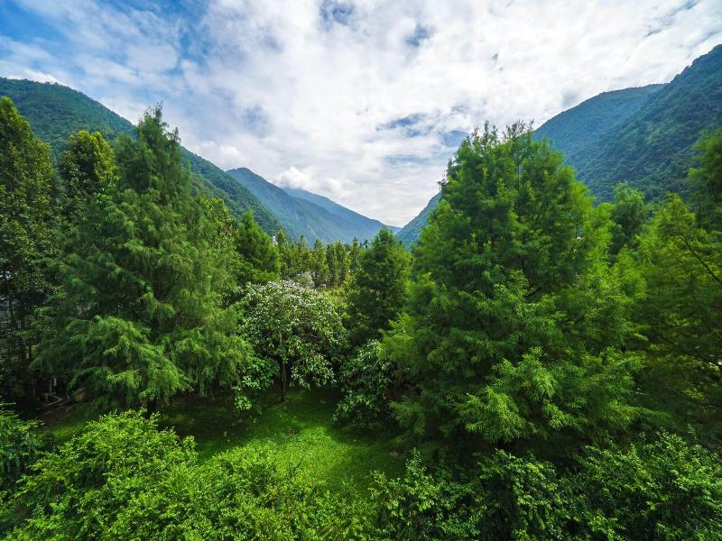 Tai-Yi Red Maple Resort image