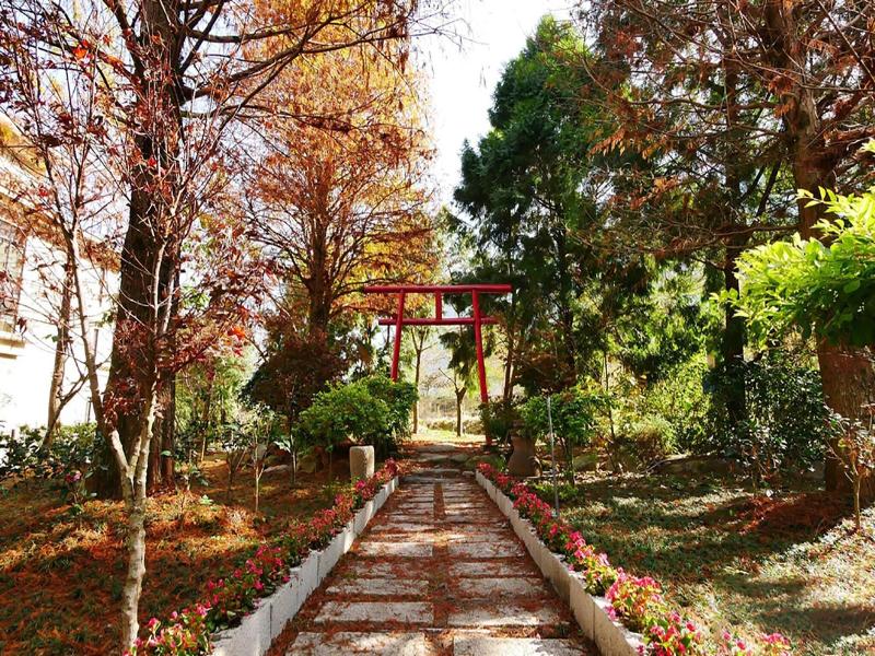 Tai-Yi Red Maple Resort image